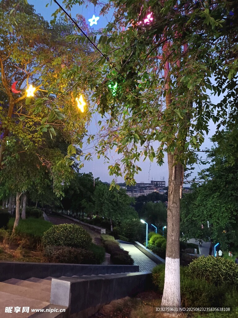 夜晚公园彩灯装点的美景