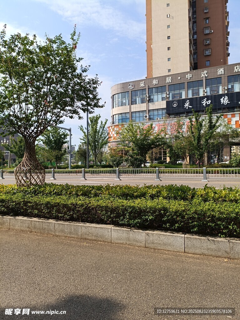 城市中高楼旁的绿化景观