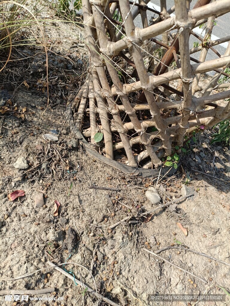 破损竹编结构散落于地面