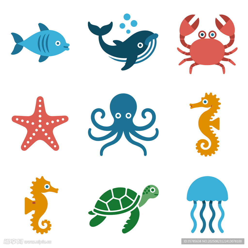 海洋生物插图
