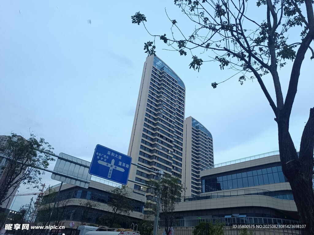 城市高楼与路旁树木景观
