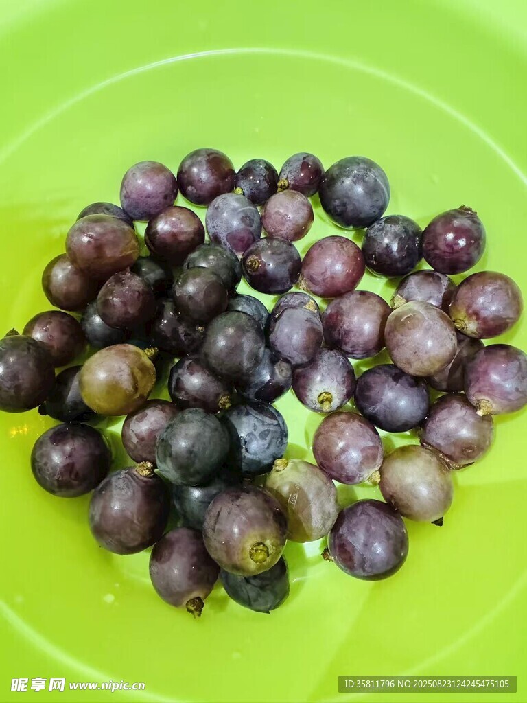 绿盘上的紫葡萄