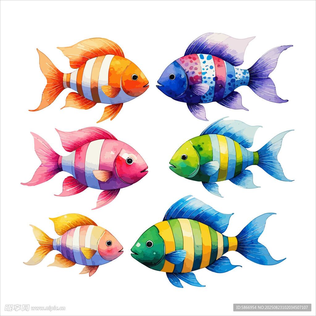 鱼插画
