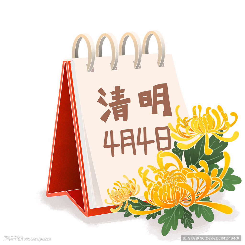 清明日历与菊花插画