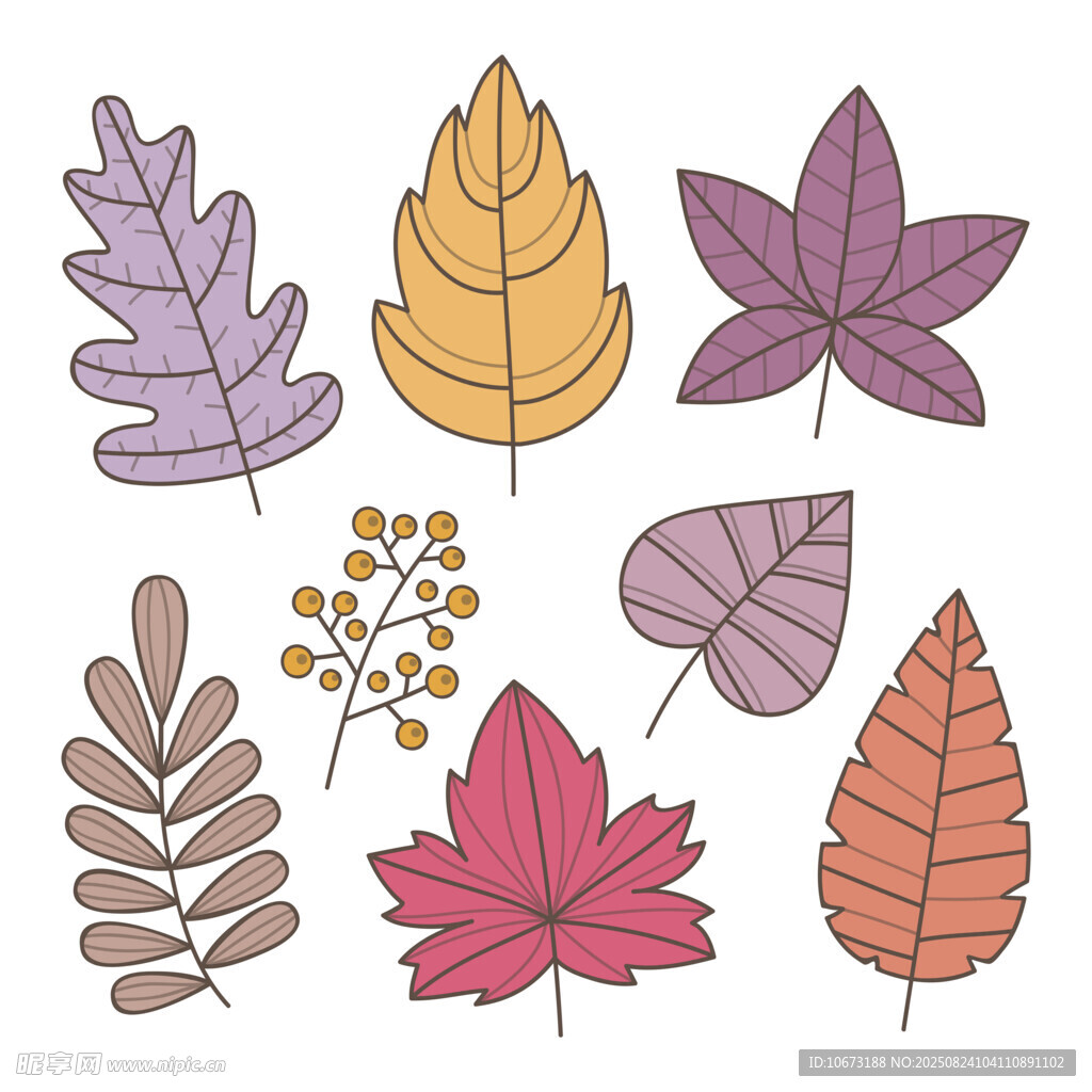 多彩秋叶矢量插画素材