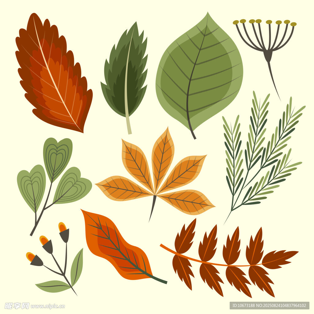 多彩秋叶植物插画素材