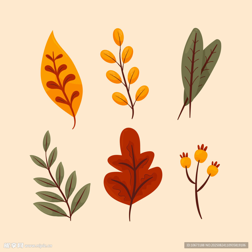 秋季多彩植物叶片插画