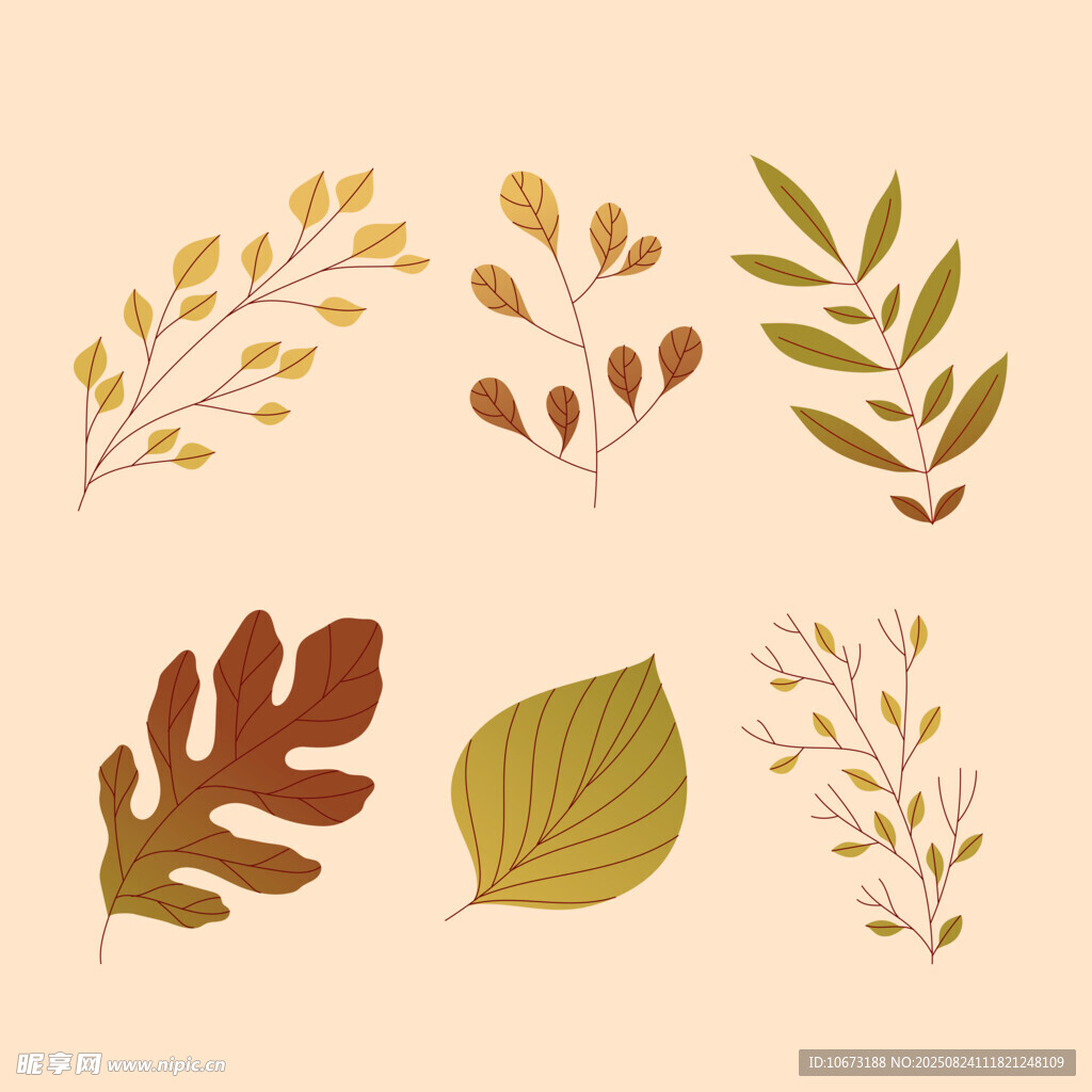 秋季植物叶片矢量插画素材
