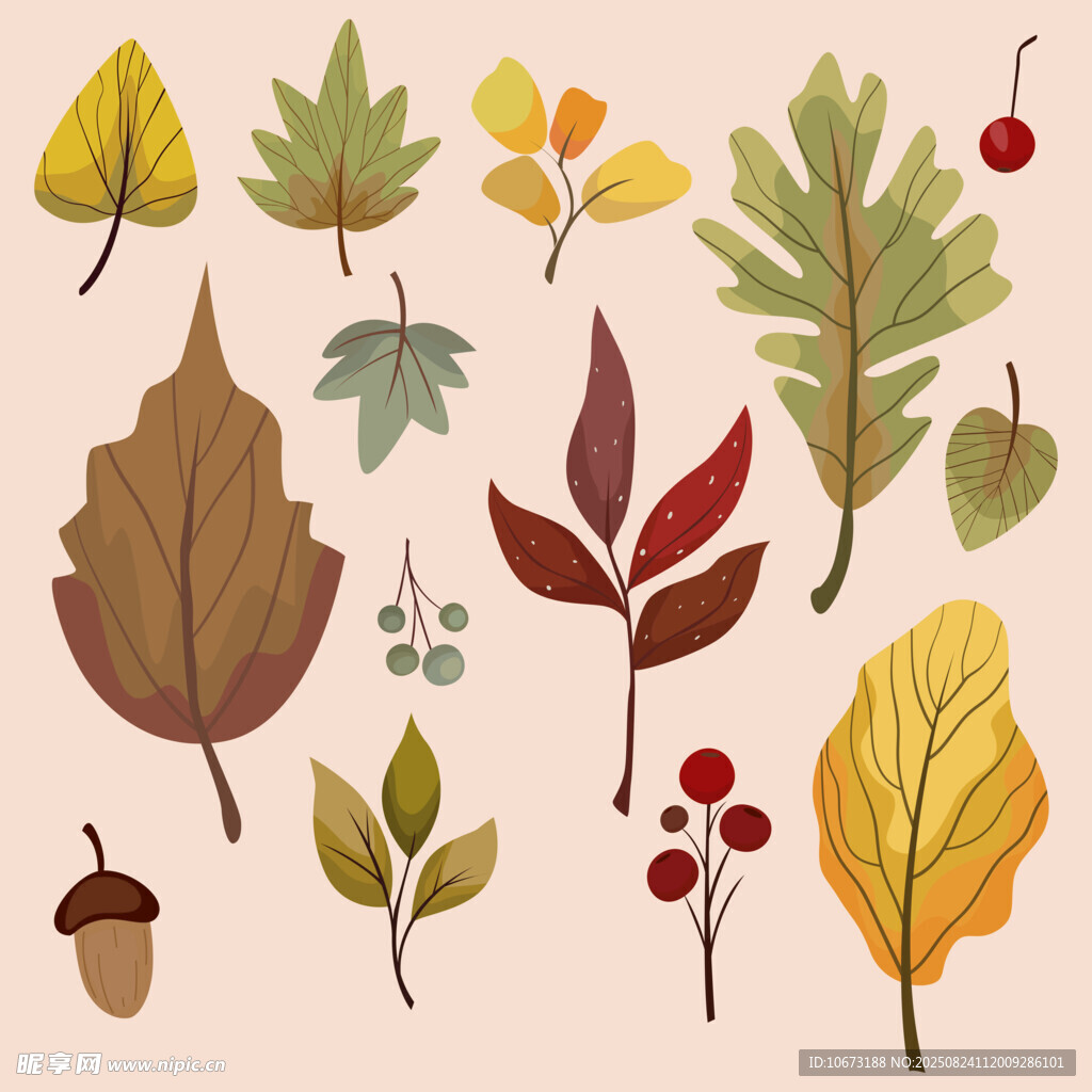 秋季植物元素插画集
