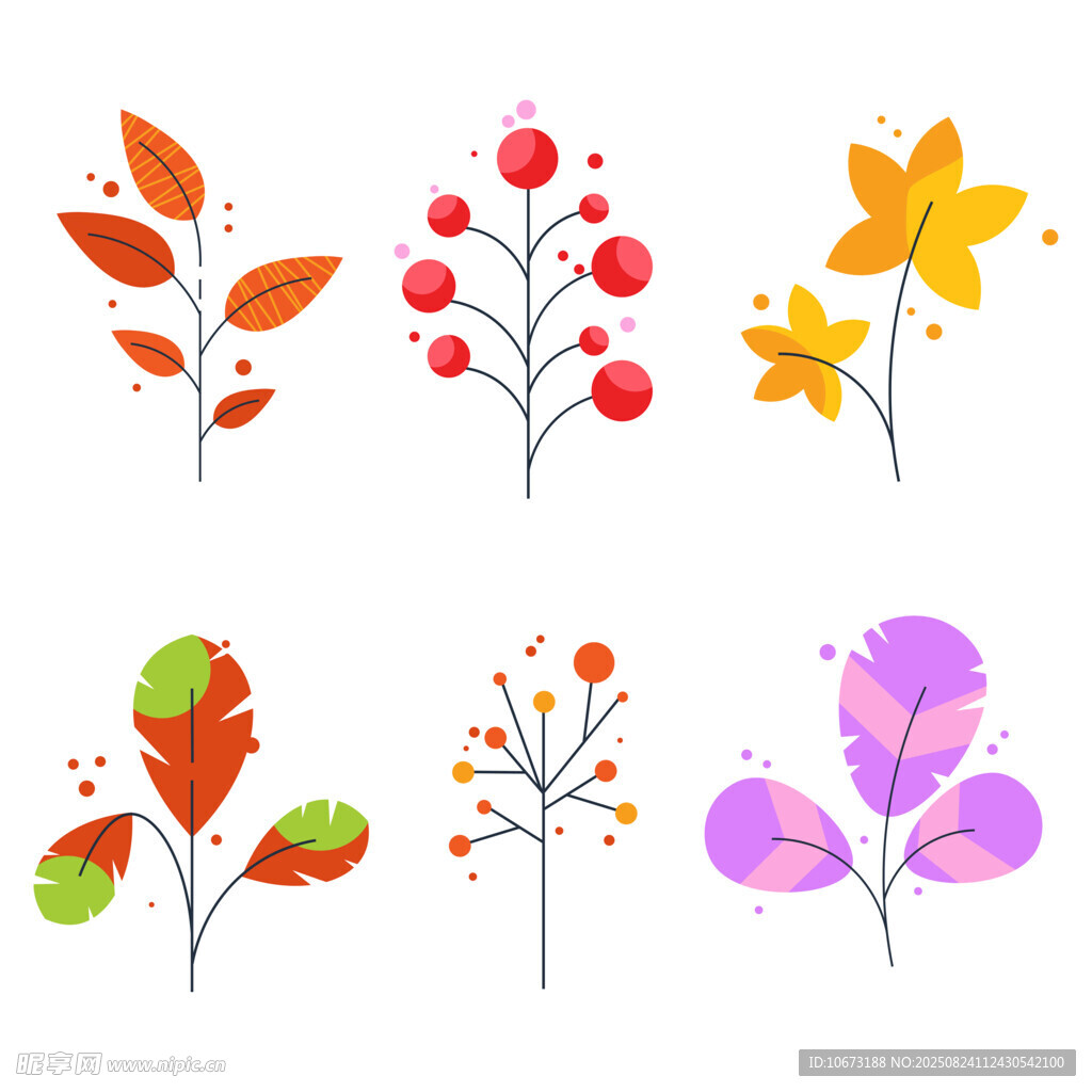 多彩秋季植物插画元素