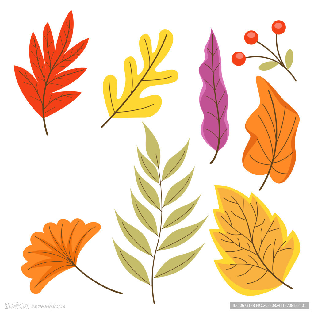 秋季多彩叶片插画素材