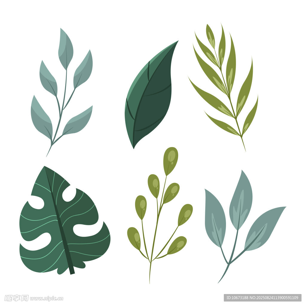 清新手绘植物叶片集合