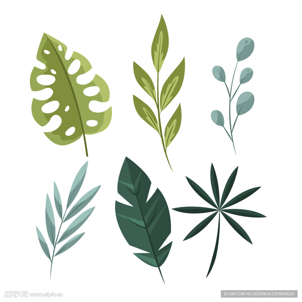 清新手绘风植物叶片集合