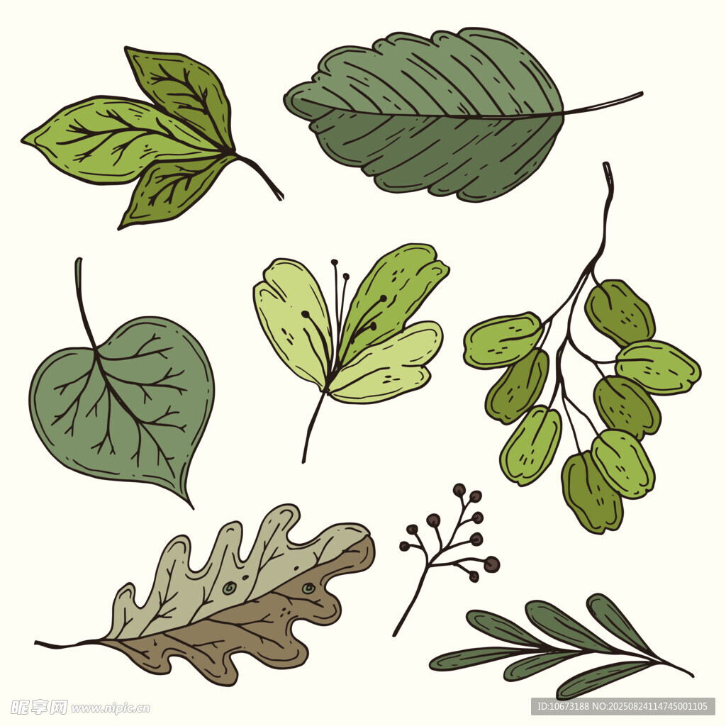 手绘多彩植物叶片集合