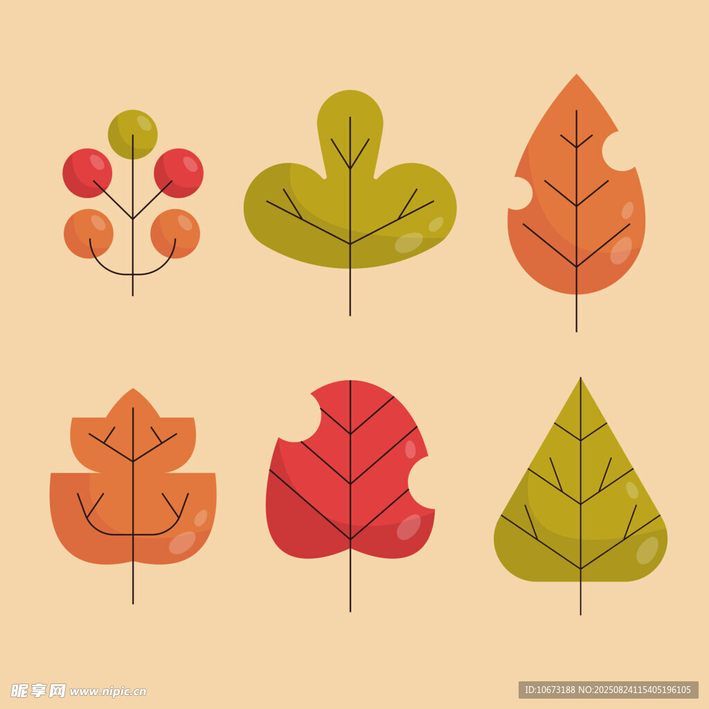 秋季多彩树叶矢量插画