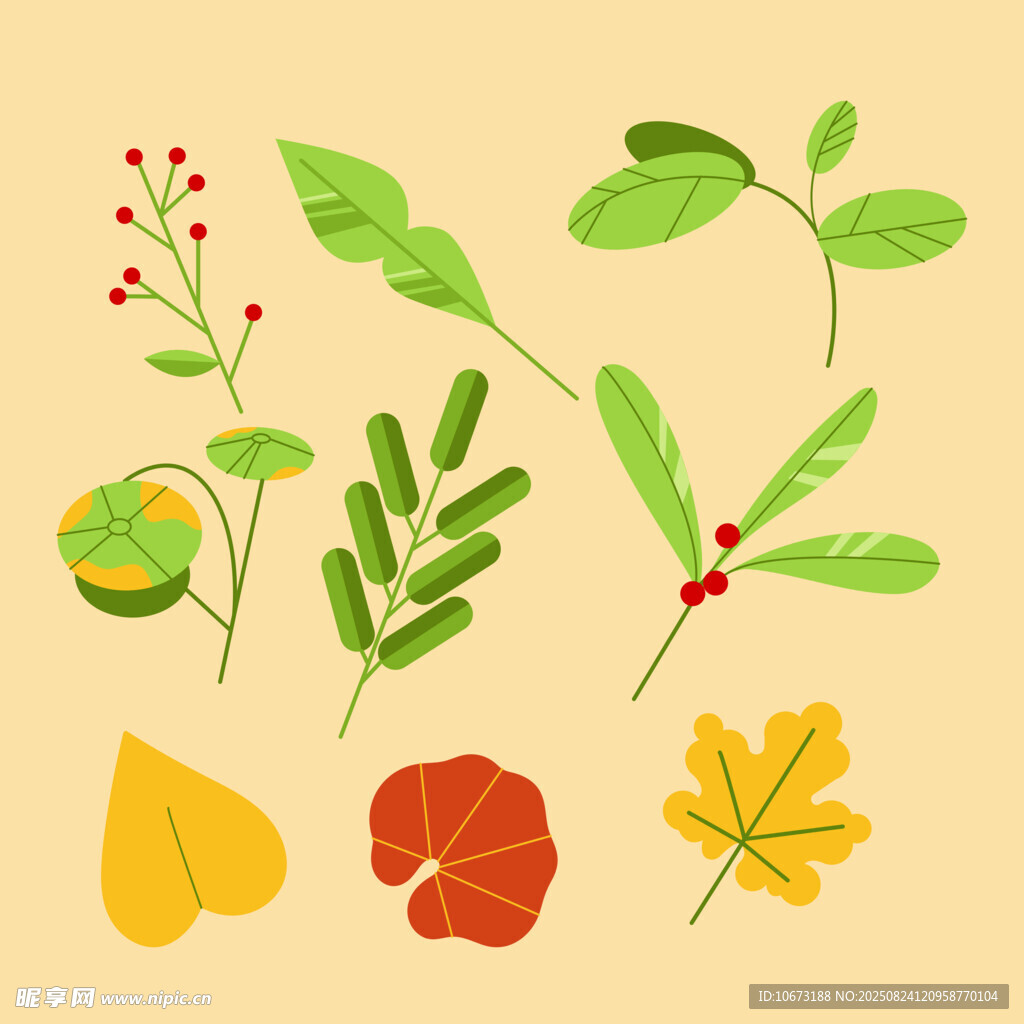 多彩植物叶片插画素材