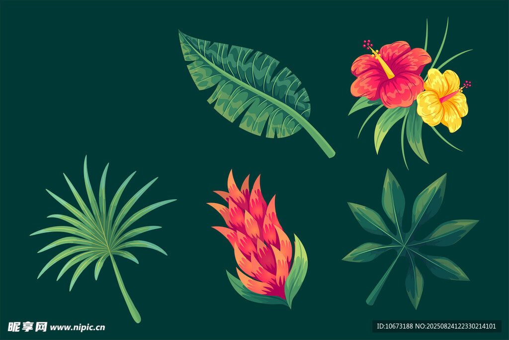 热带花卉植物矢量插画