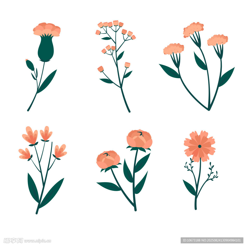 手绘橙色花卉植物插画