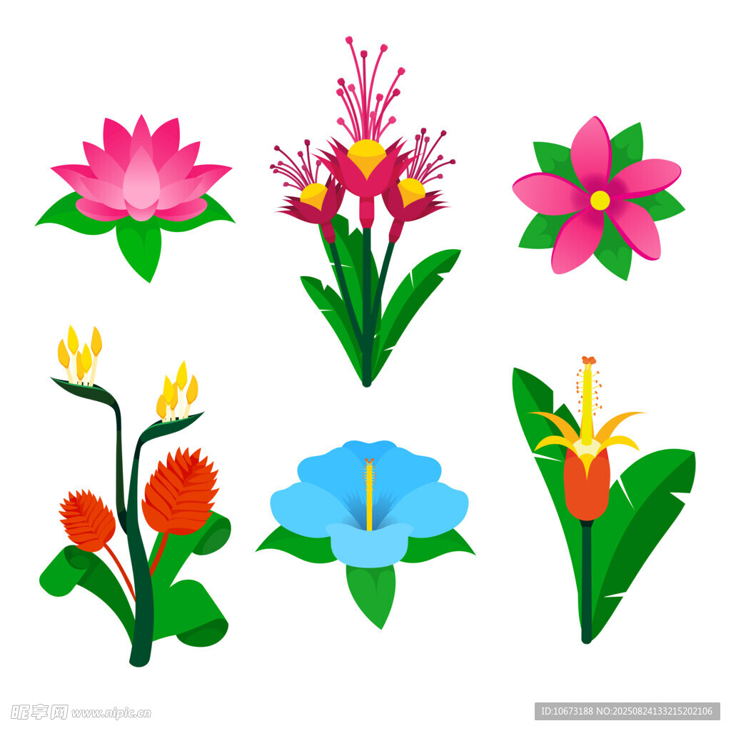 多彩花卉矢量插画素材