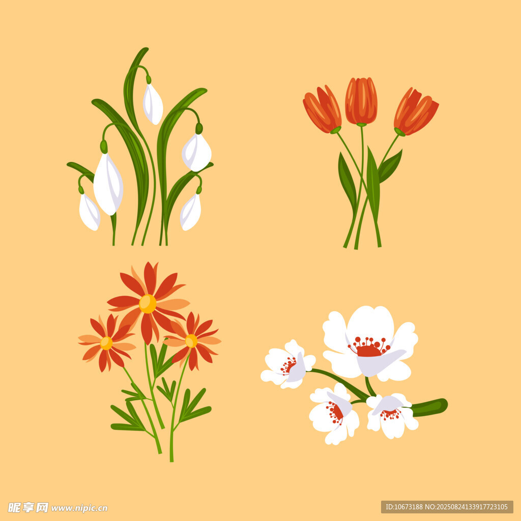 四组花卉插画图案展示