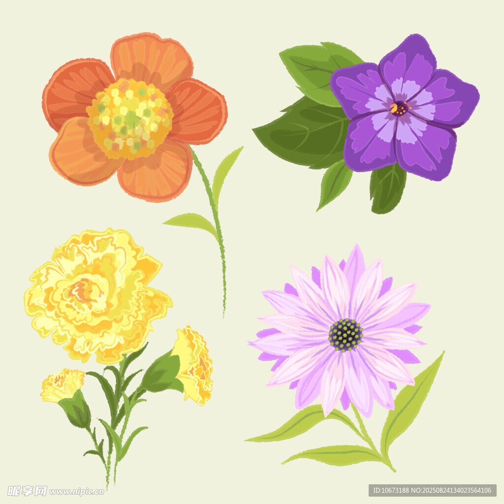 多彩手绘花卉插画
