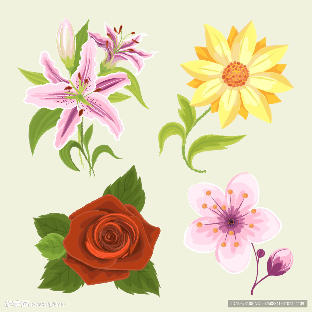 多彩花卉集合