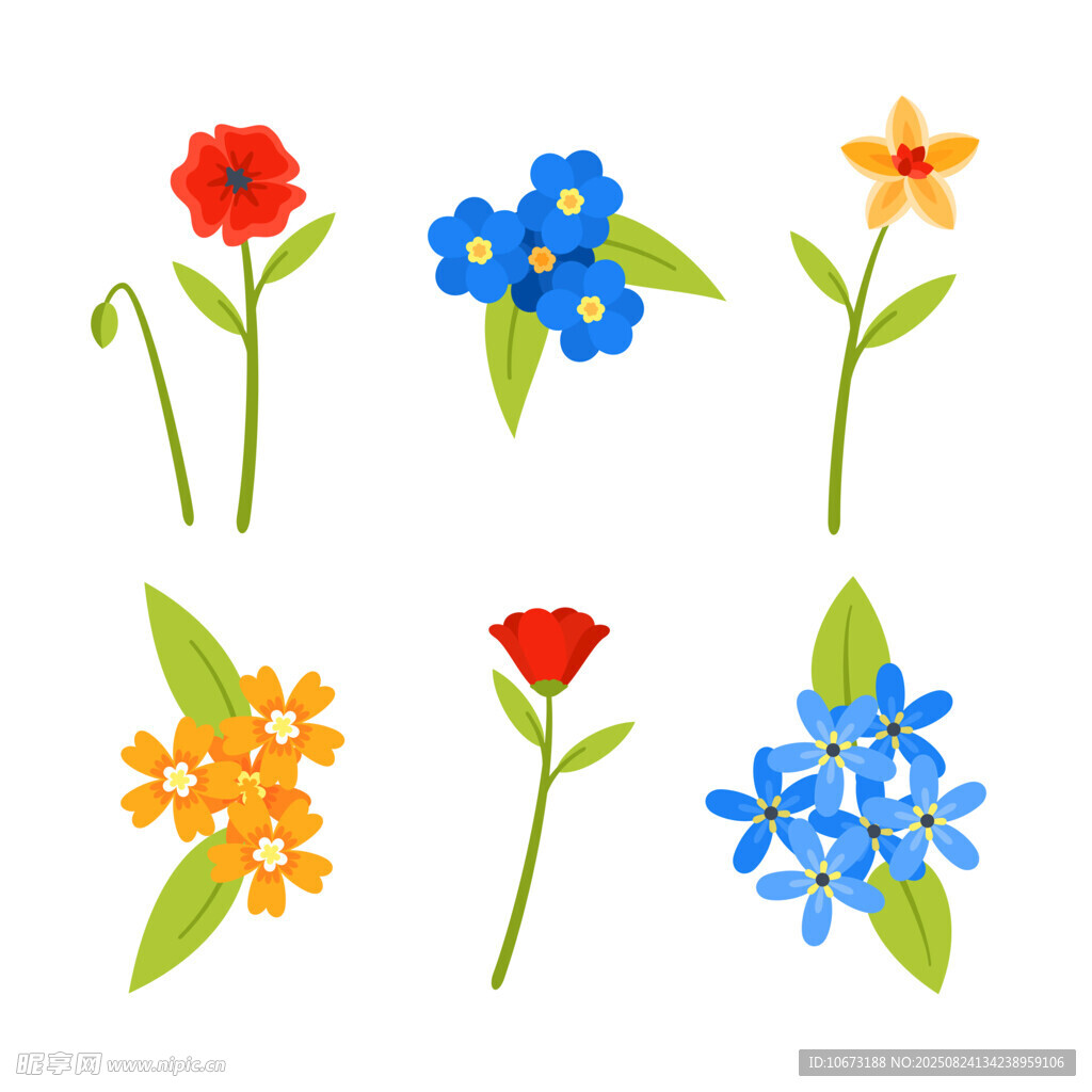 多彩花卉插画