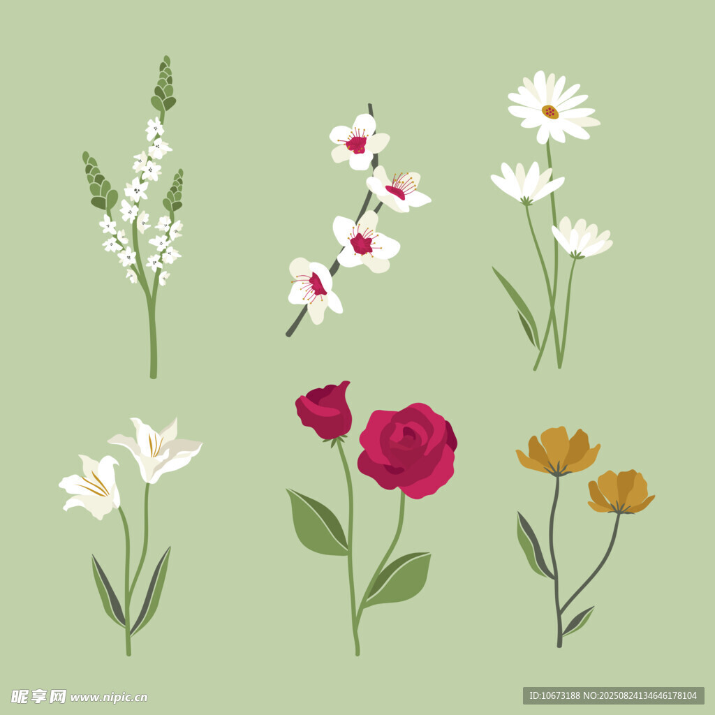 多彩花卉插画