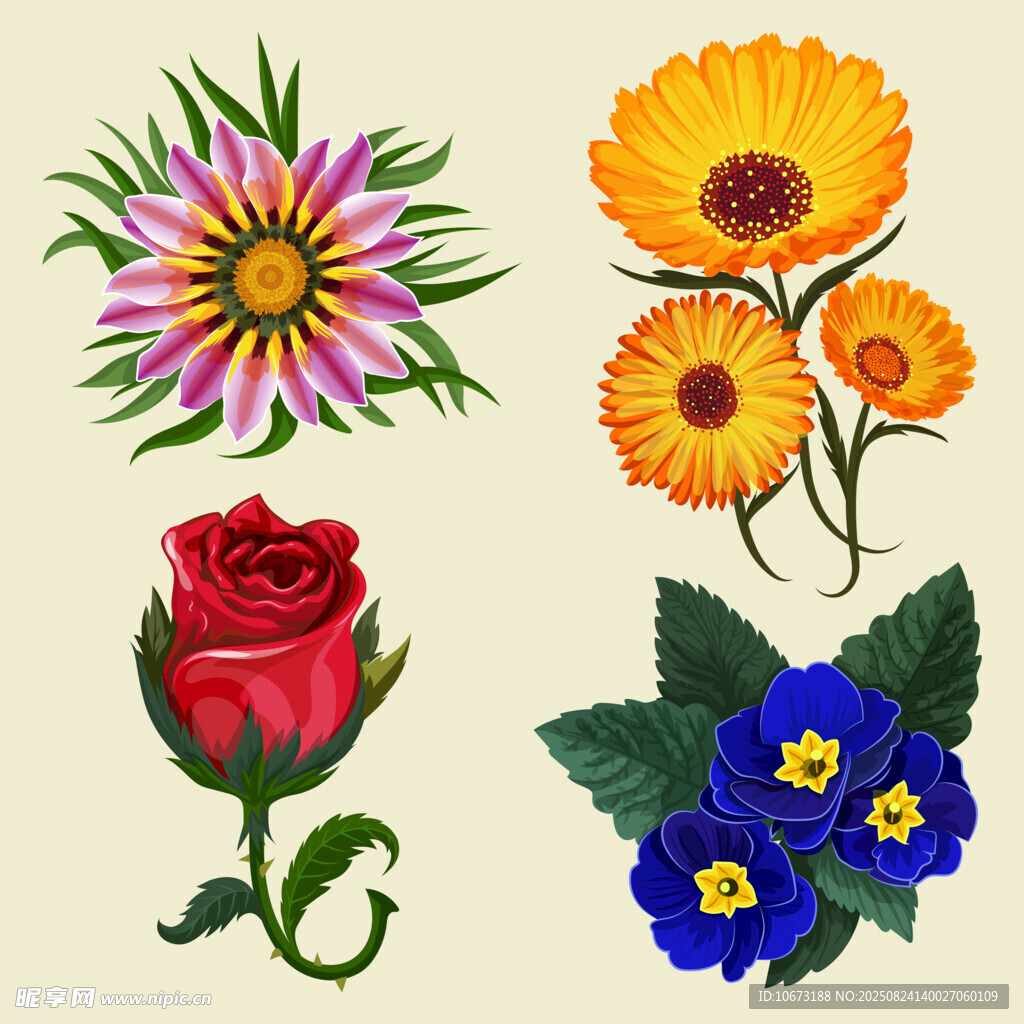 多彩花卉插画