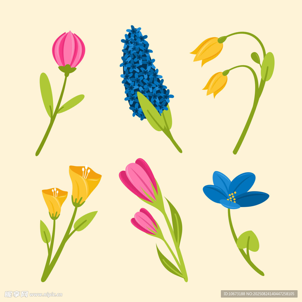 多彩花卉插画