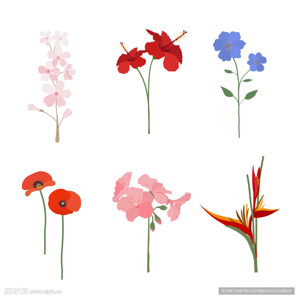 多彩花卉插画集合