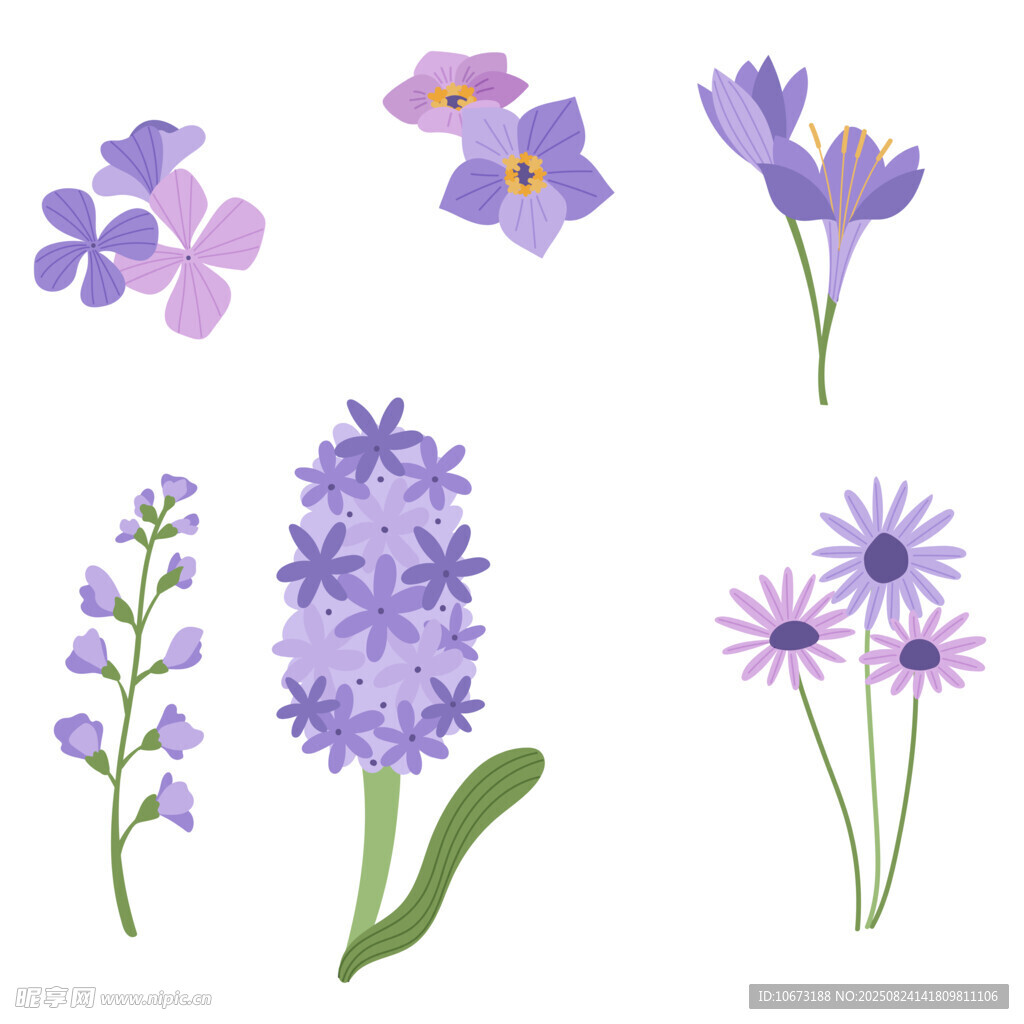 紫色花卉插画集合
