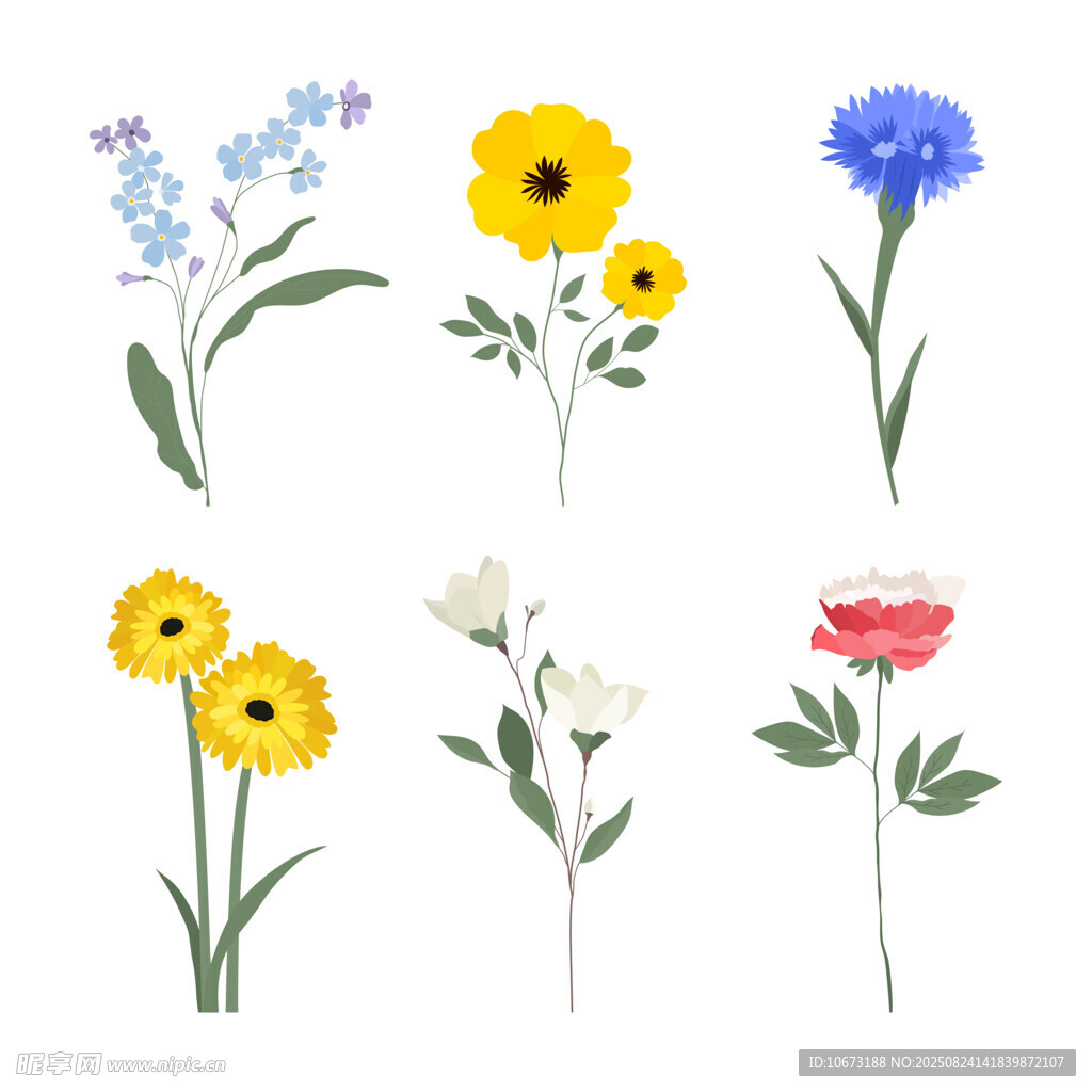 手绘多彩花卉插画