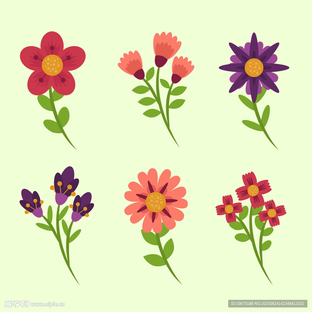 多彩花卉插画集合