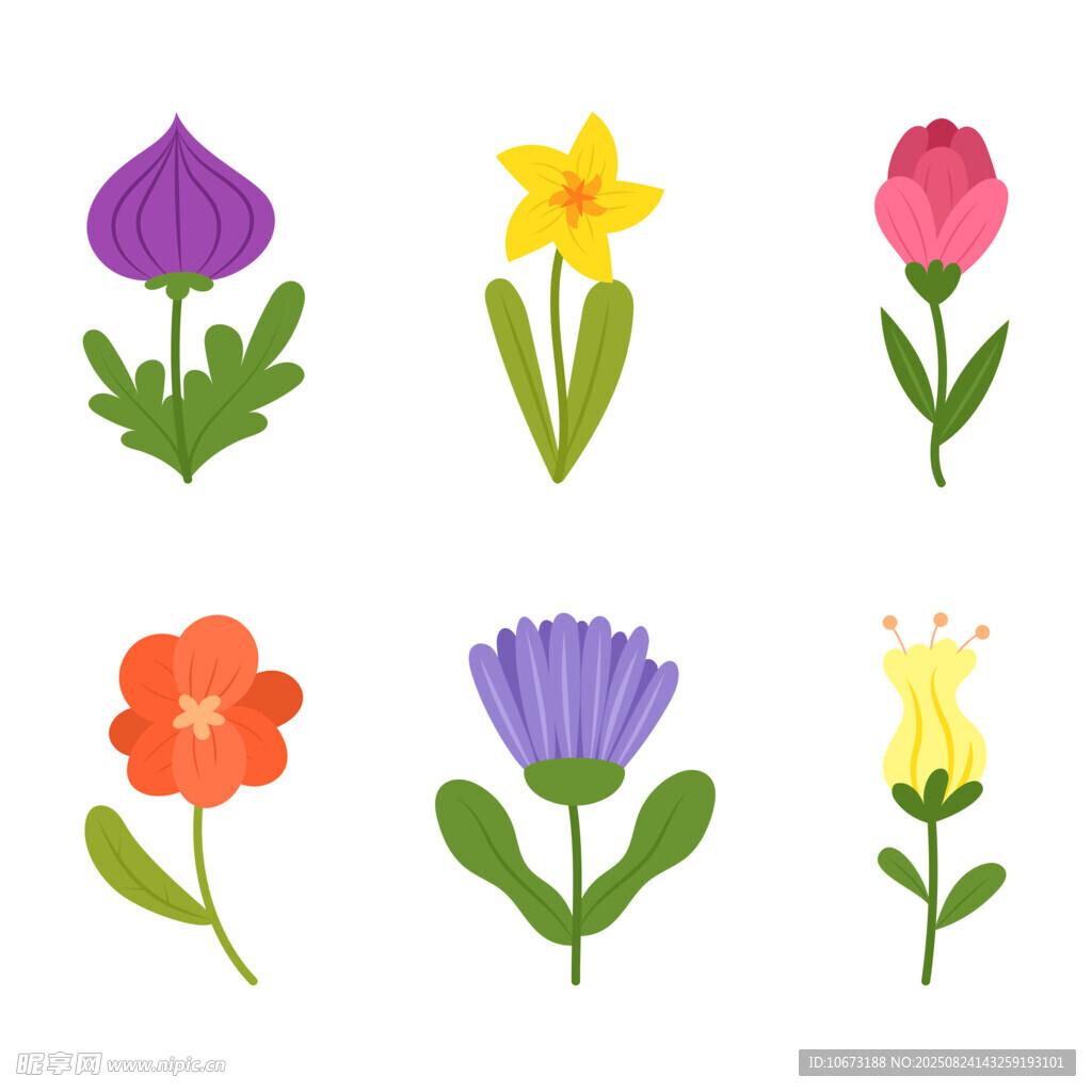 多彩花卉插画