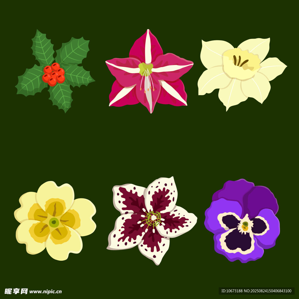 多彩花卉图案集合