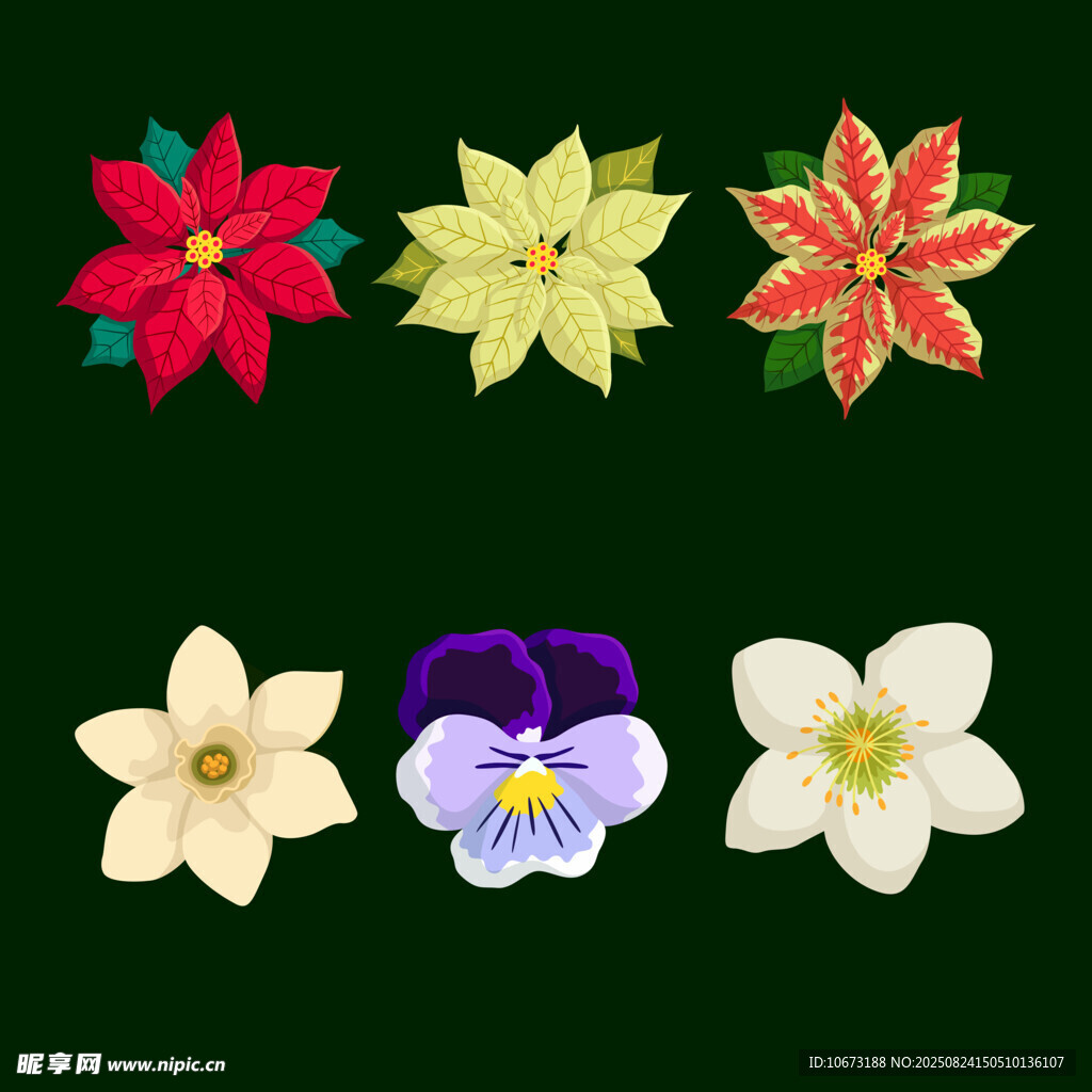 多彩花卉集合