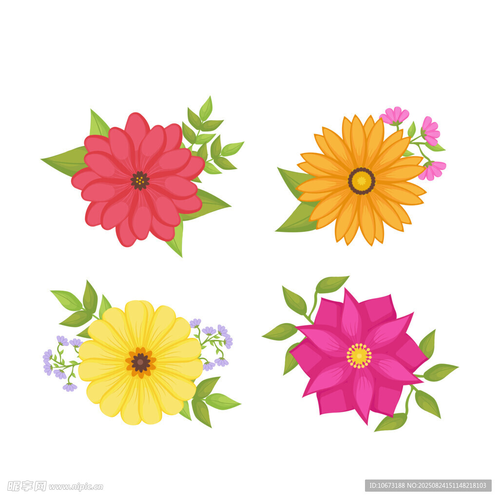 多彩花卉插画