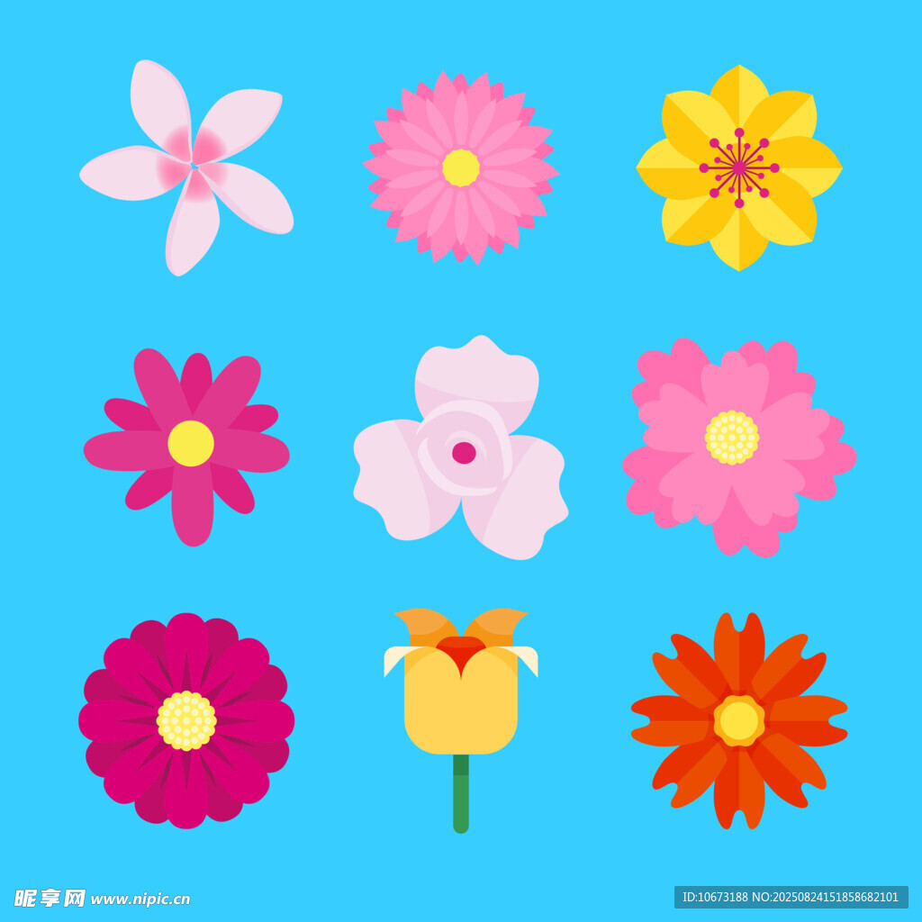 多彩花卉图案集合