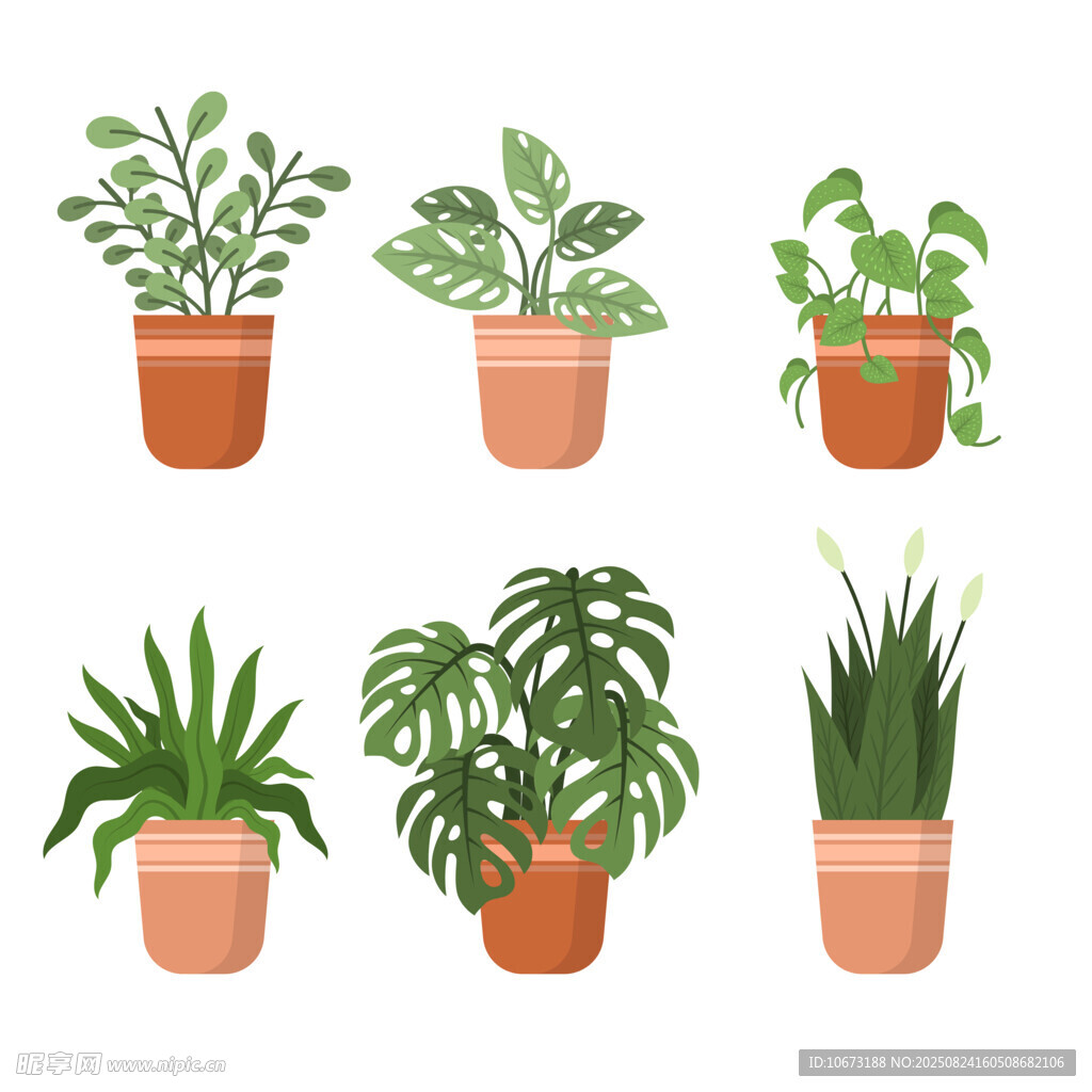 盆栽植物集合