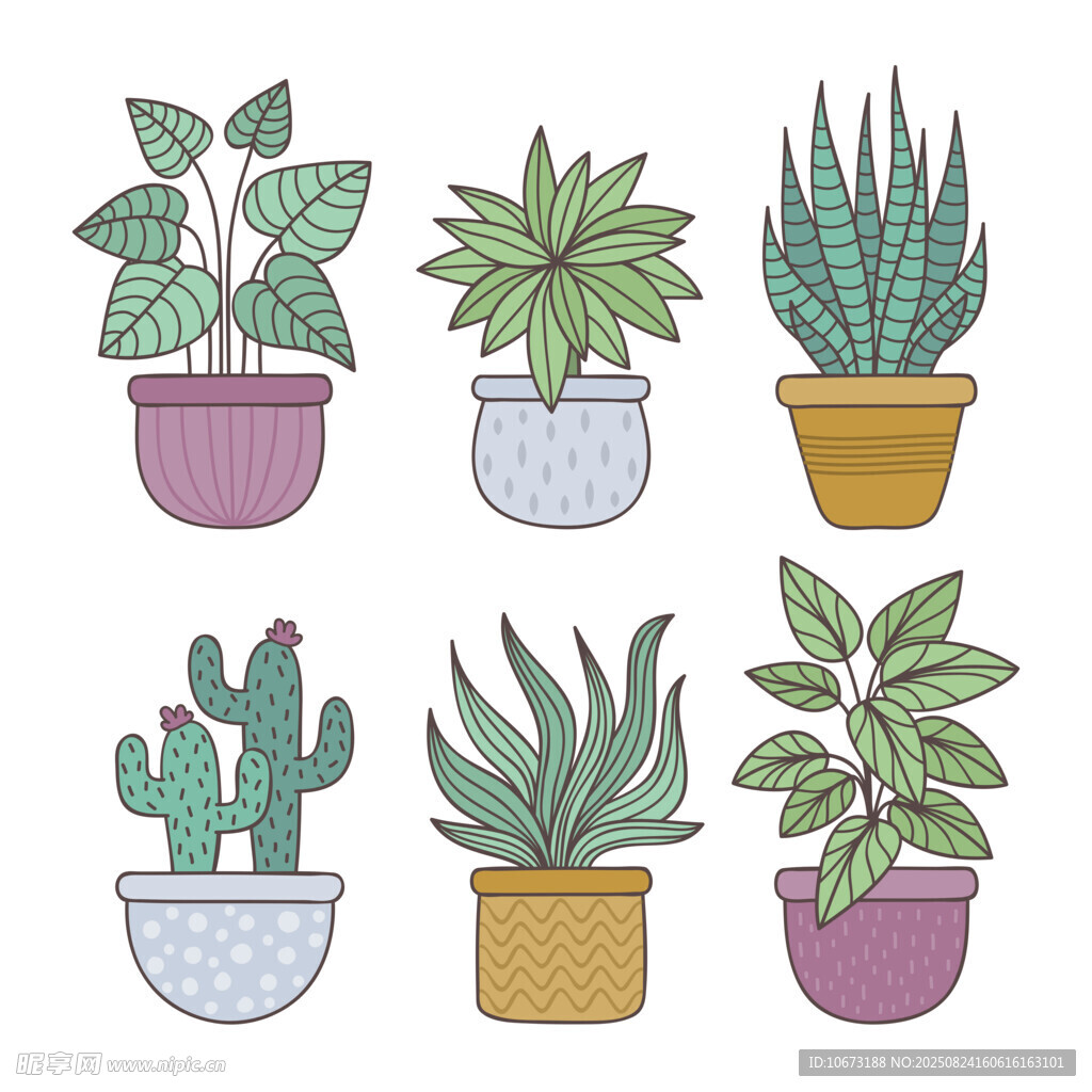 手绘盆栽植物集合