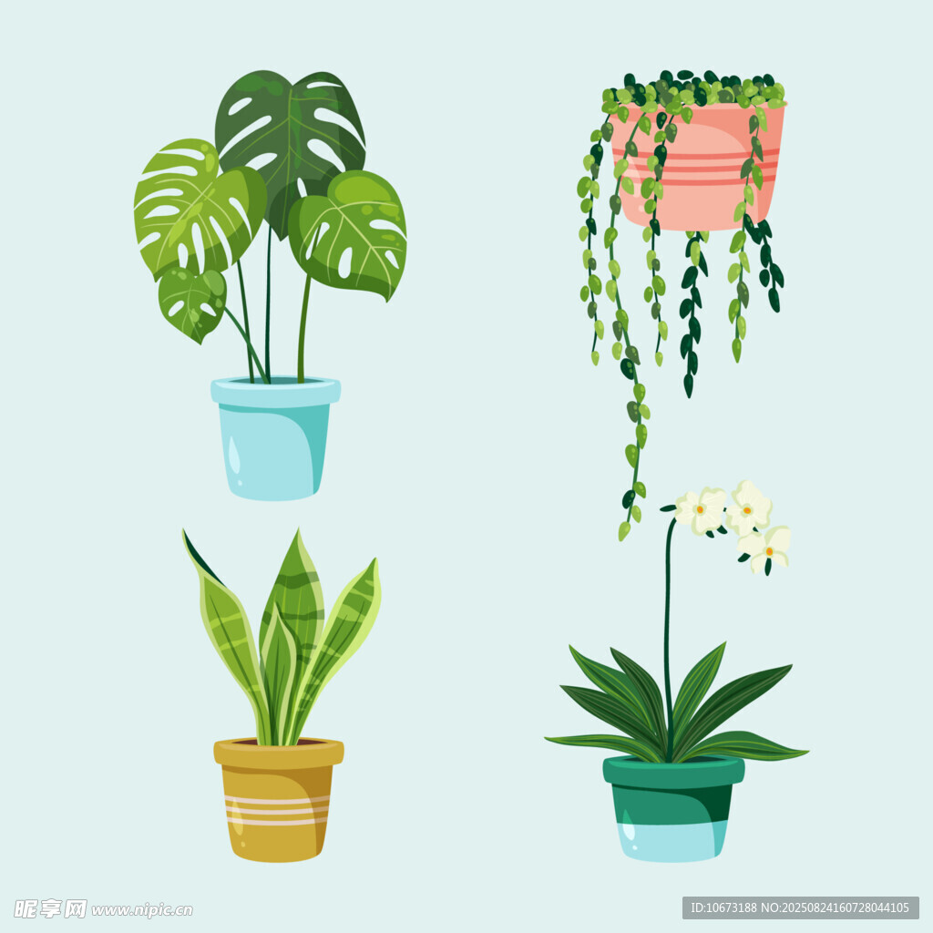 多样盆栽植物展示