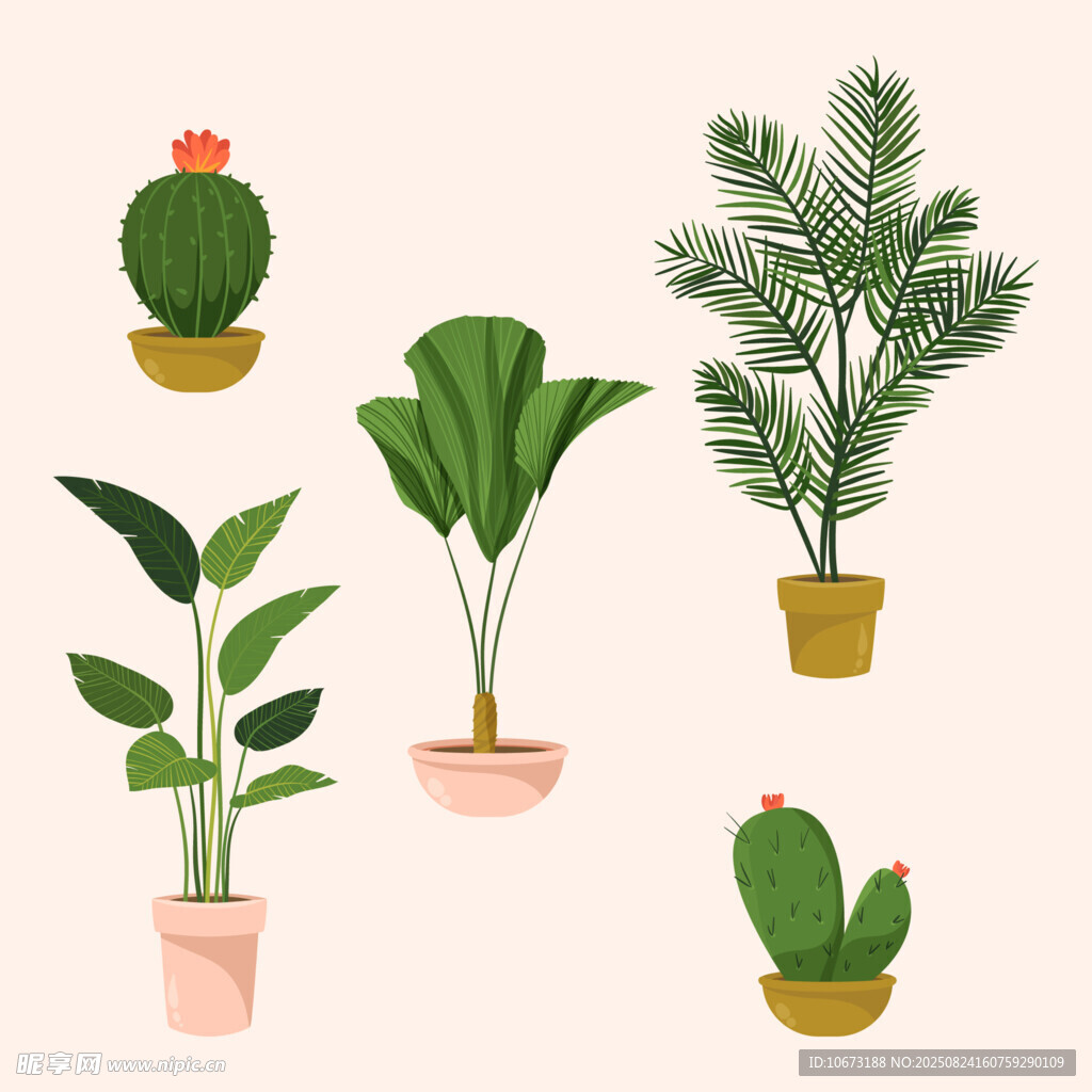 多样盆栽植物插画展示