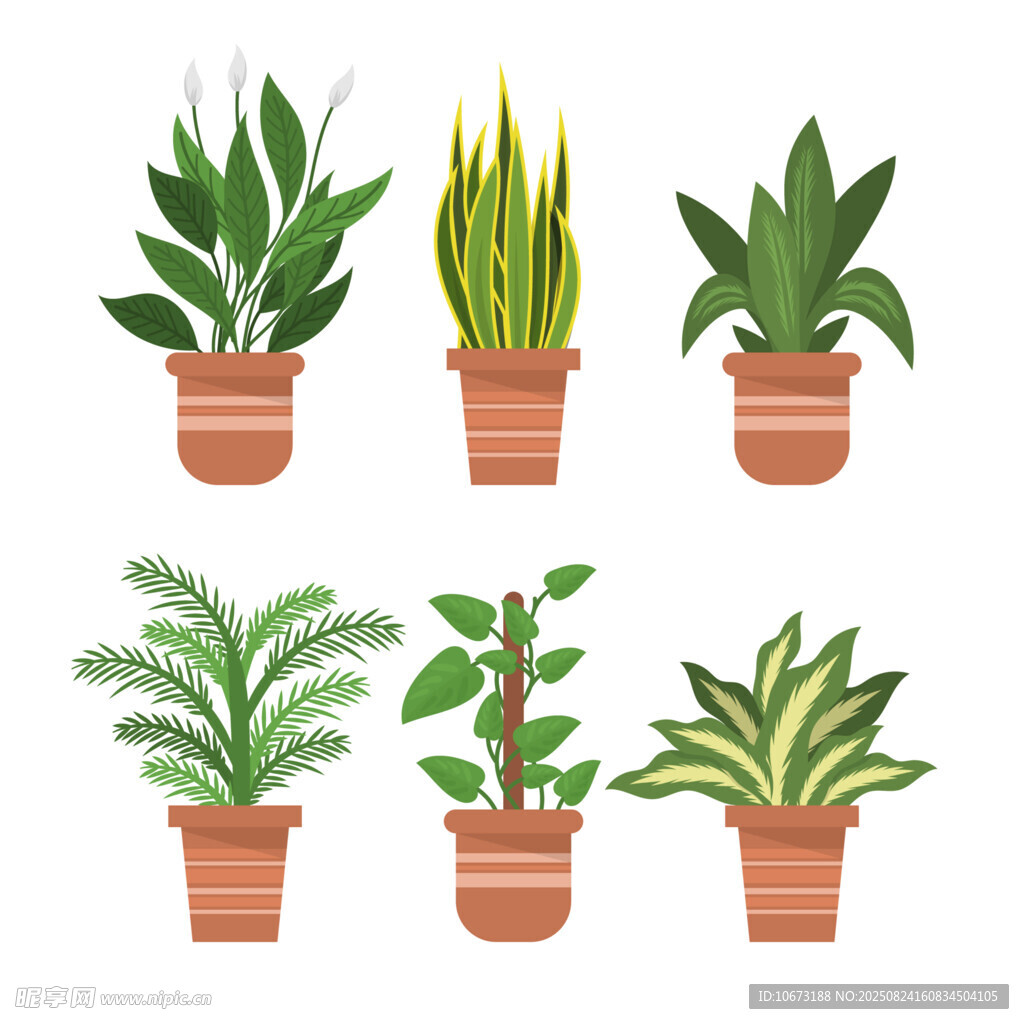 盆栽植物集合