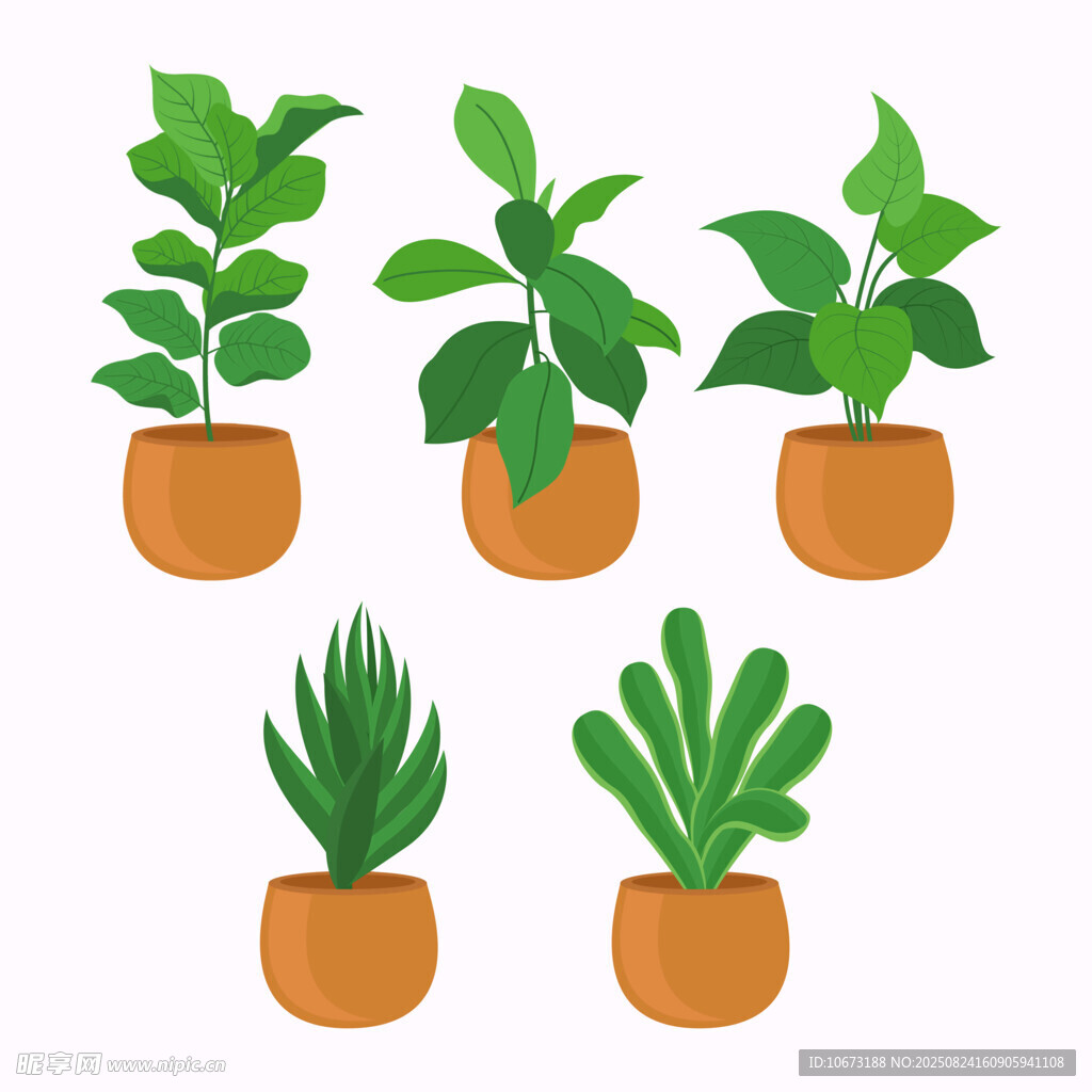 盆栽绿植组合展示