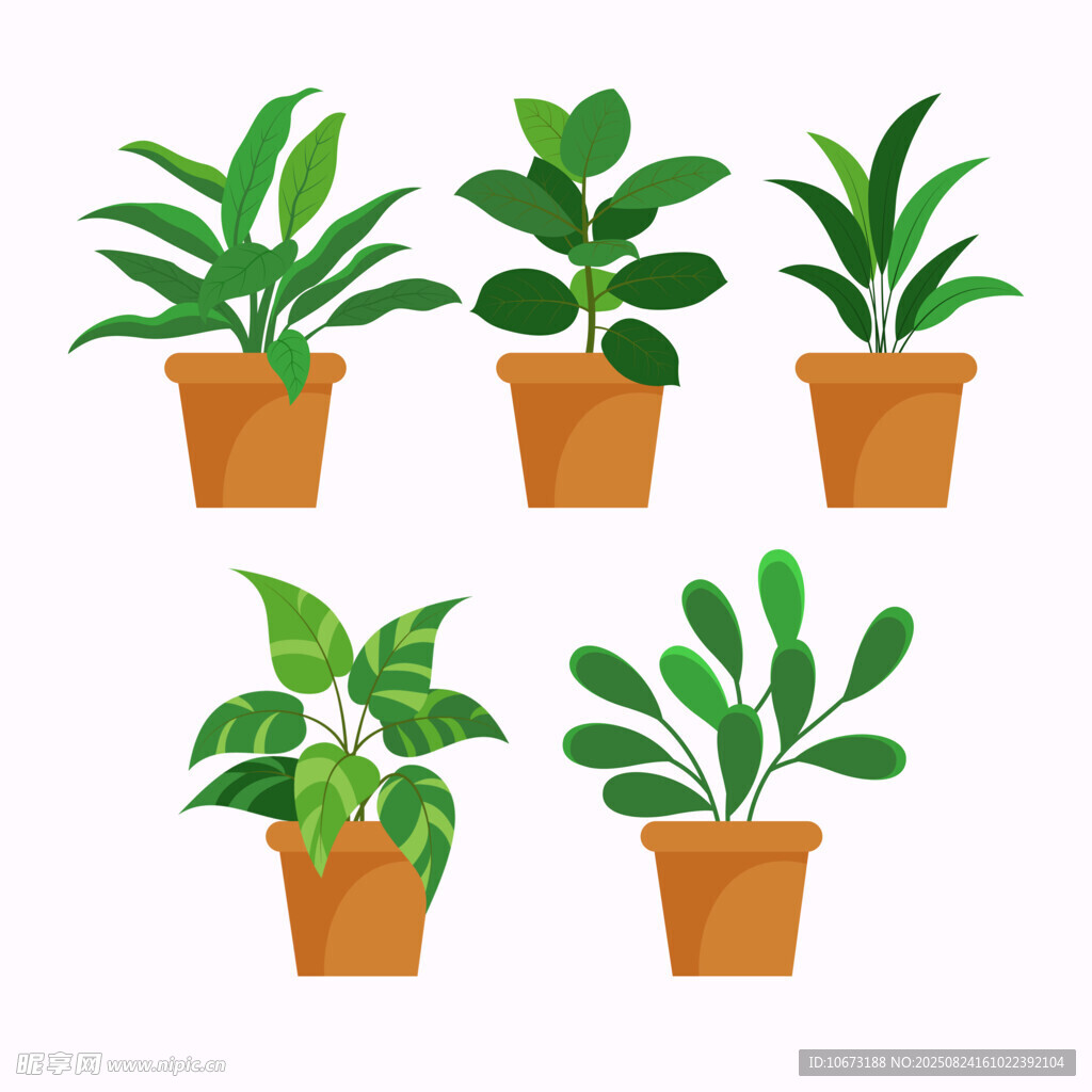 五款盆栽植物插画展示