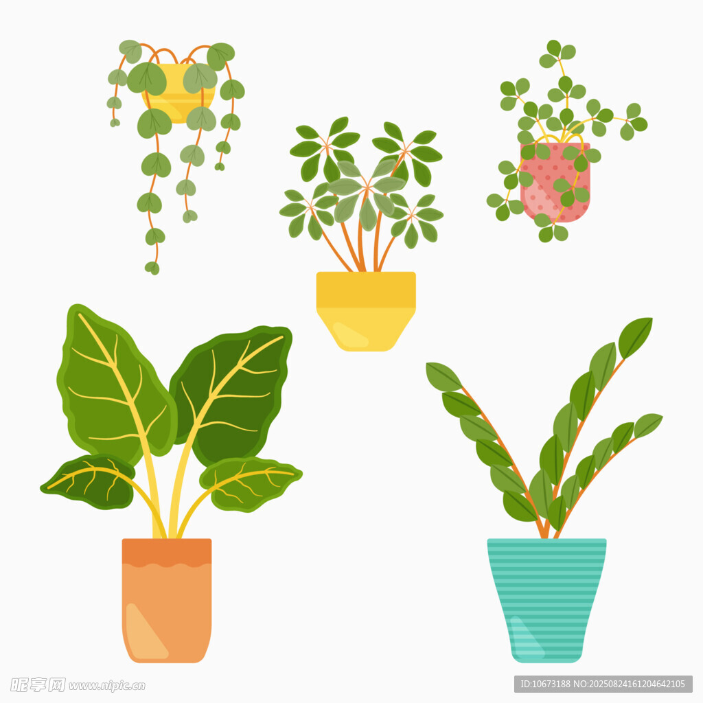多彩盆栽植物插画