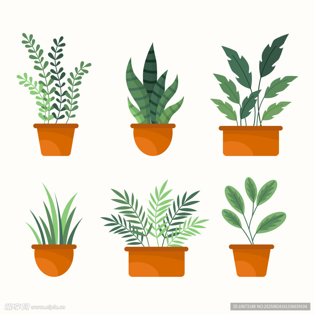 盆栽绿植集合