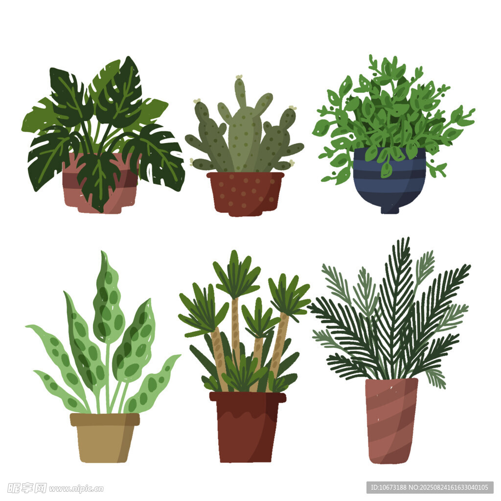 多样盆栽植物展示