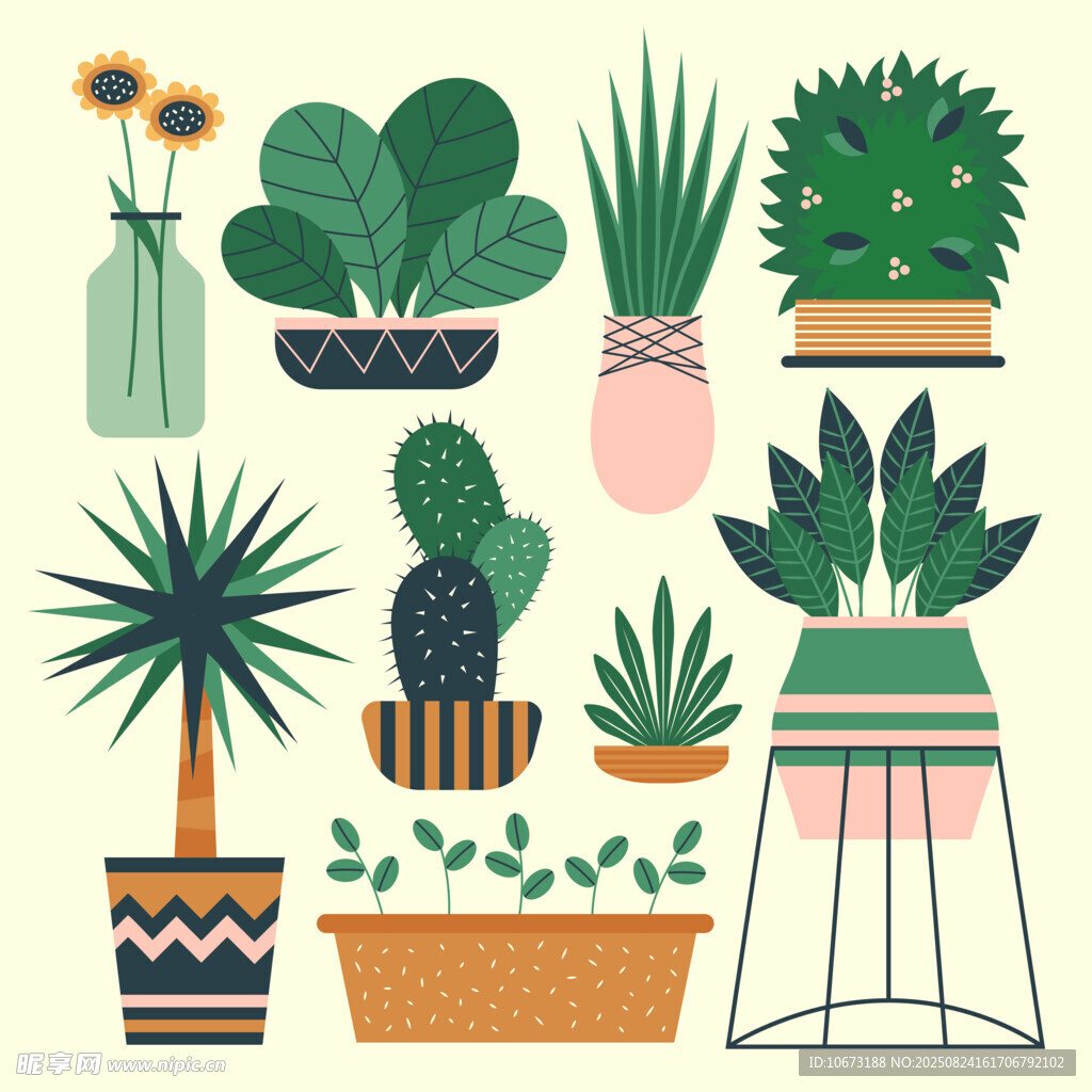 多样盆栽植物插画展示
